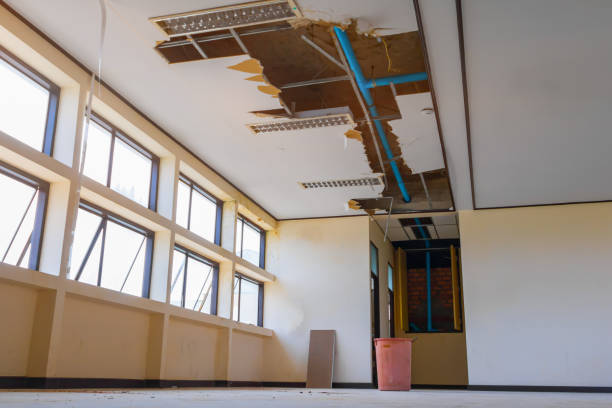 Best Carpet water damage restoration  in Bolivar, TN