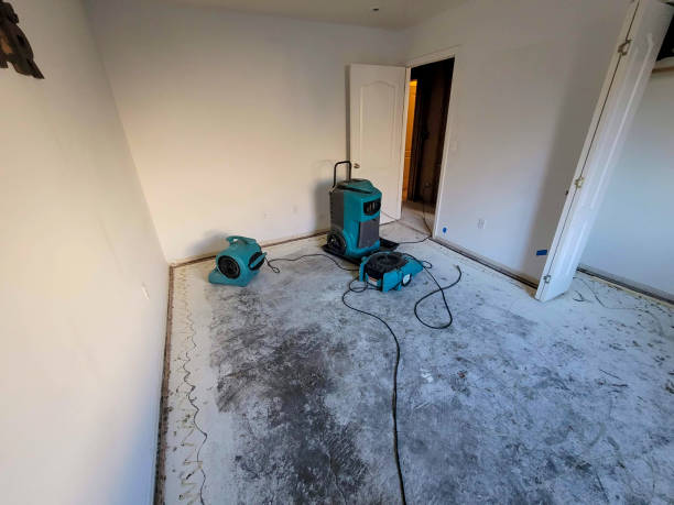 Best Water damage restoration services  in Bolivar, TN