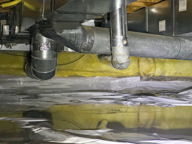 Best Basement water damage restoration  in Bolivar, TN