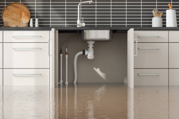 Best Water damage restoration near me  in Bolivar, TN
