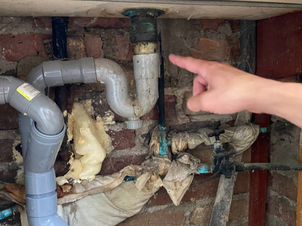 Trusted Bolivar, TN Water damage restoration Experts