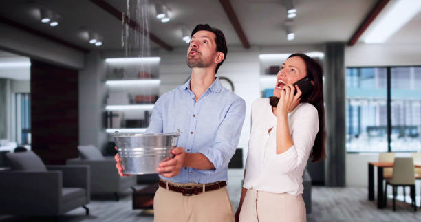 Best Flood damage cleanup  in Bolivar, TN